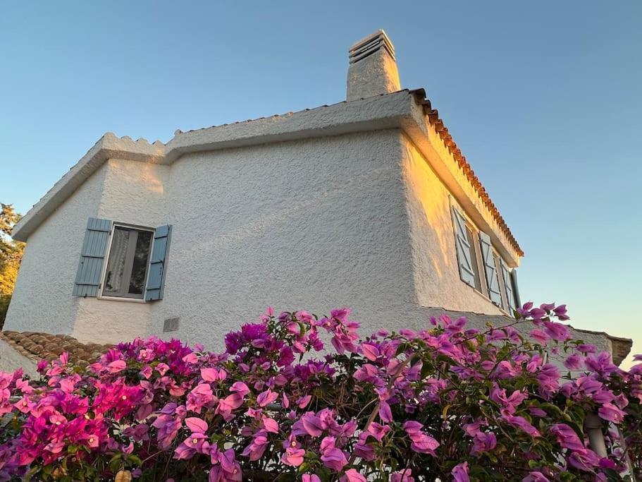 Silmar Apartment Capitana