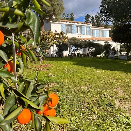 Villa Silmar Capitana Extérieur photo