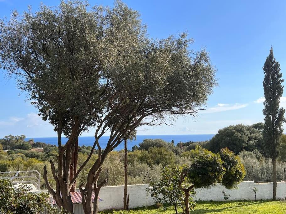 Silmar Apartment Capitana